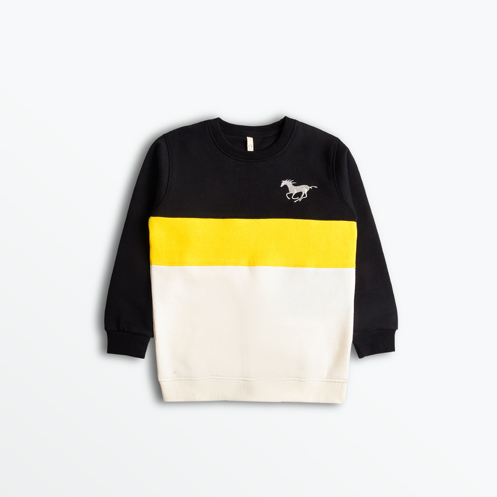 Color Stripe Classic Sweatshirt 12