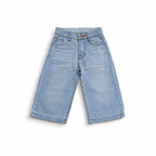 Sky Blue Classic Baggy Denim Pant (DB187)