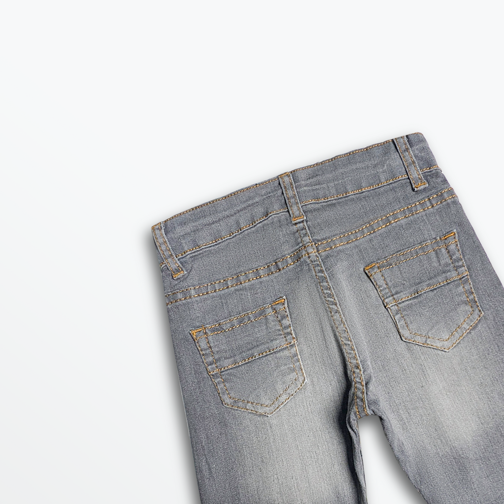 SilverEdge Denim Shorts