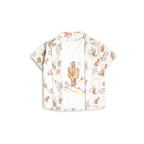 Desert Cactus Summer Set