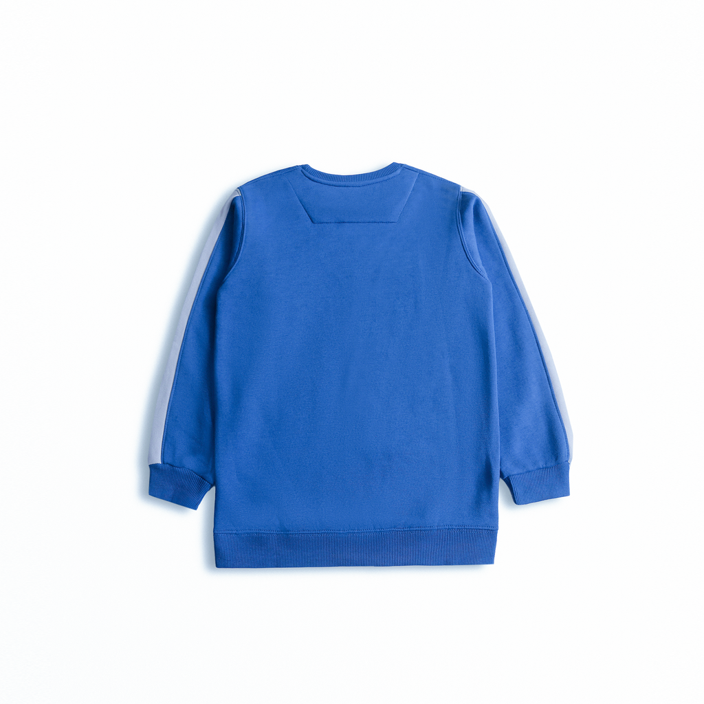 Imported Bear Pop Stripe Sweatshirt