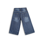StarGlow Embroidered Denim Capri (DG044)