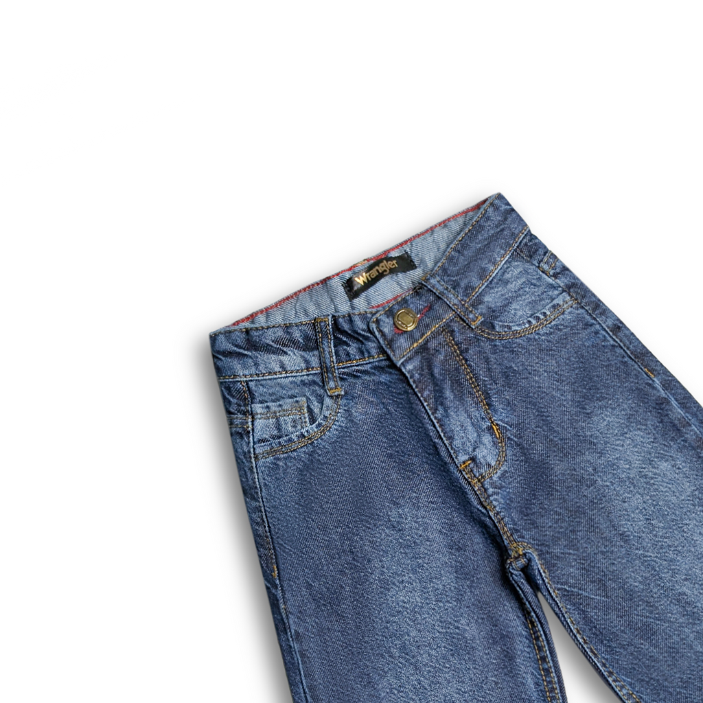 StarGlow Embroidered Denim Capri (DG044)