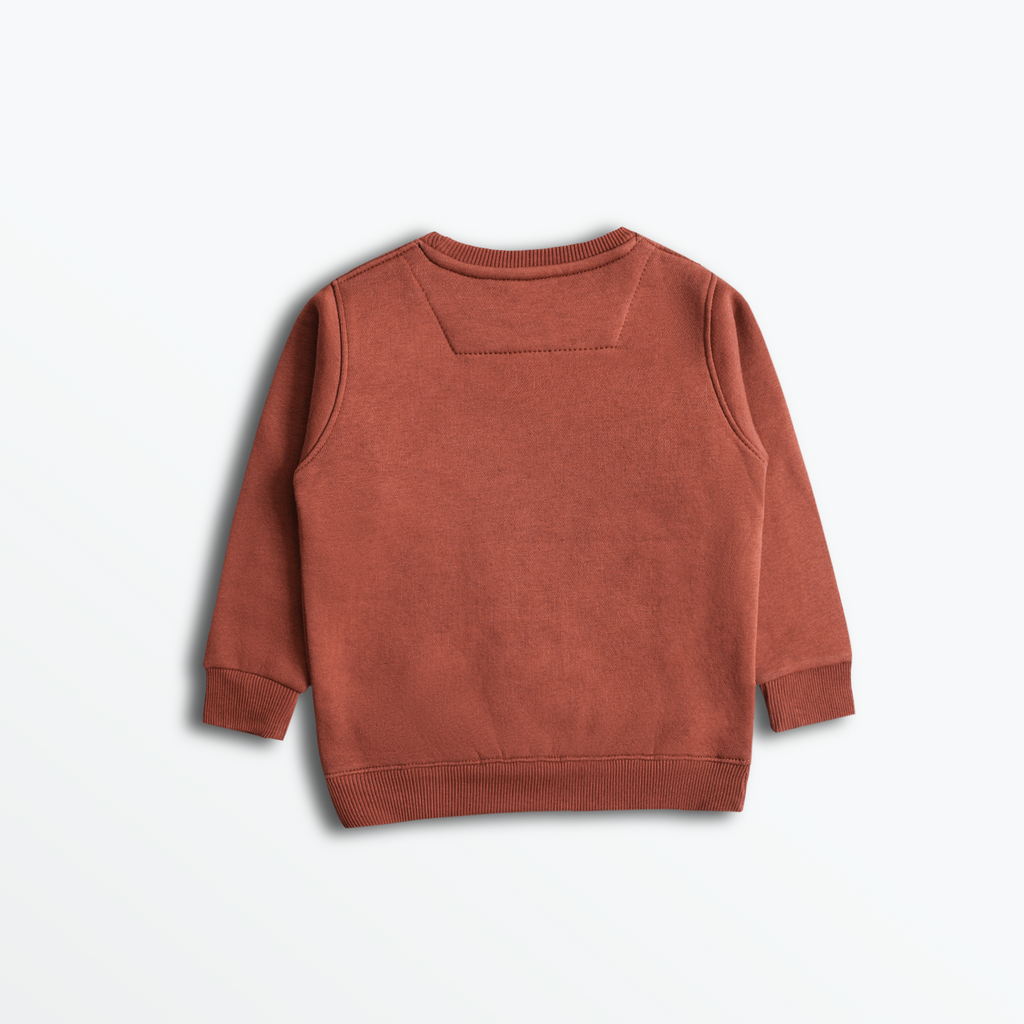 Imported Cute Panda Sweatshirt