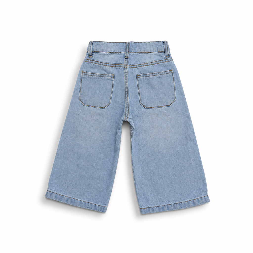 Sky Blue Classic Baggy Denim Pant (DB187)
