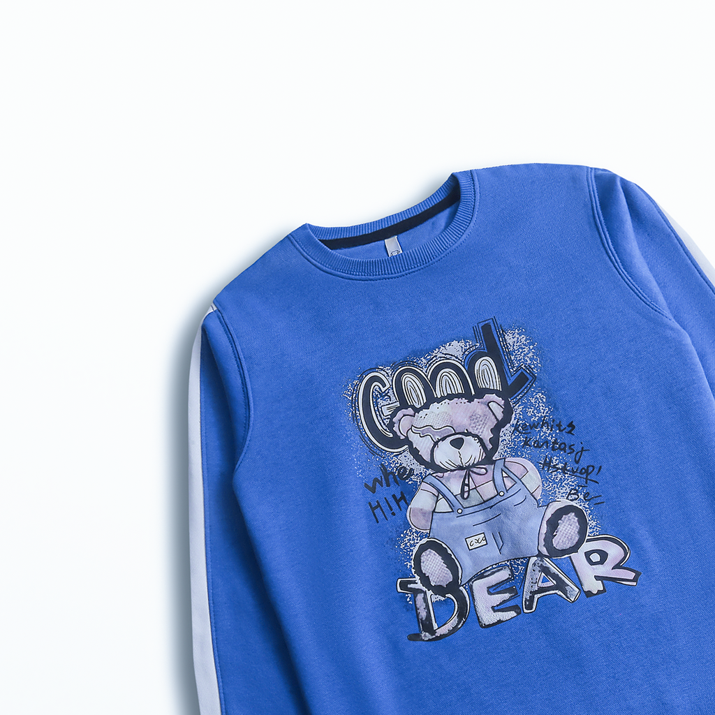 Imported Bear Pop Stripe Sweatshirt