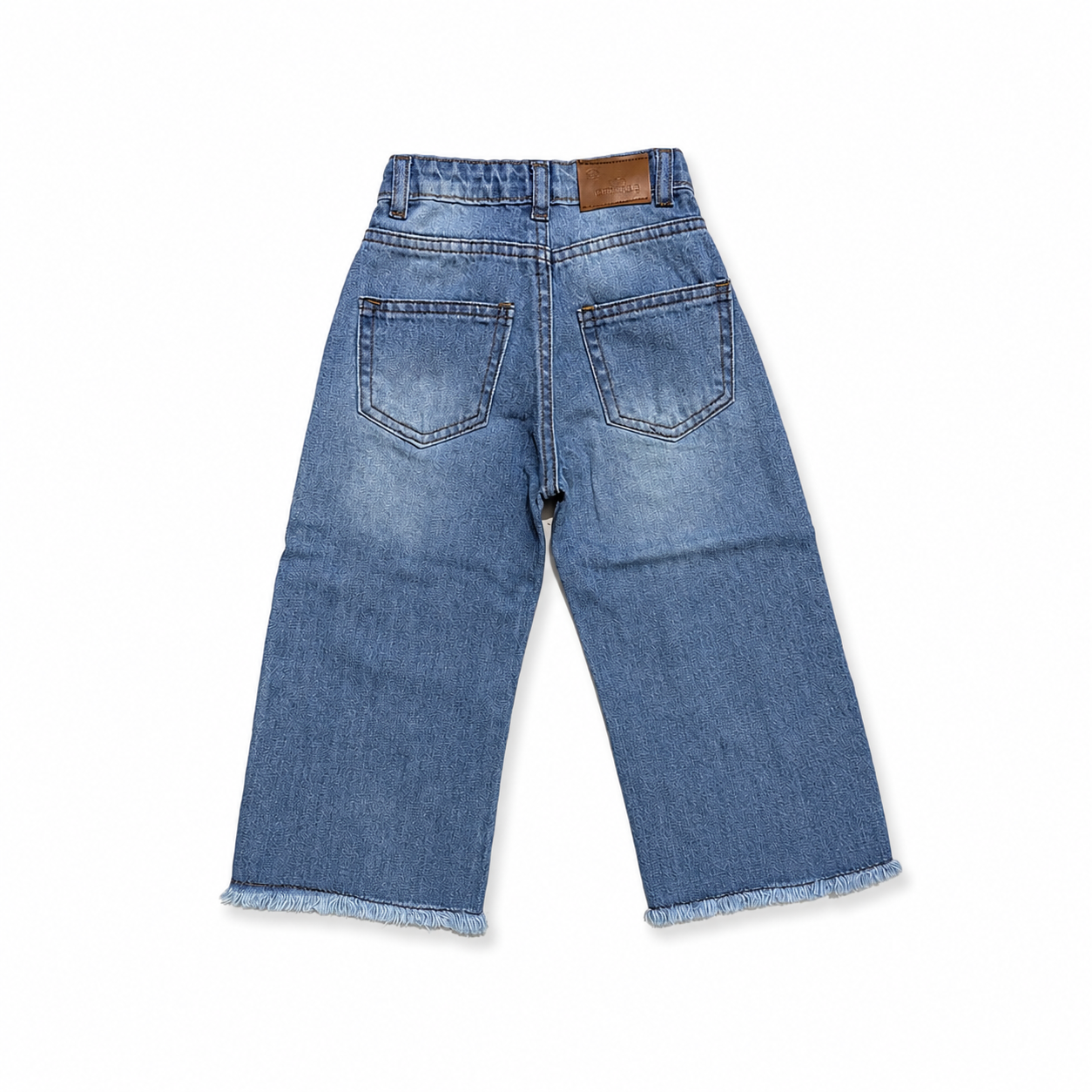 Blue Embroidered Jeans (DG050)